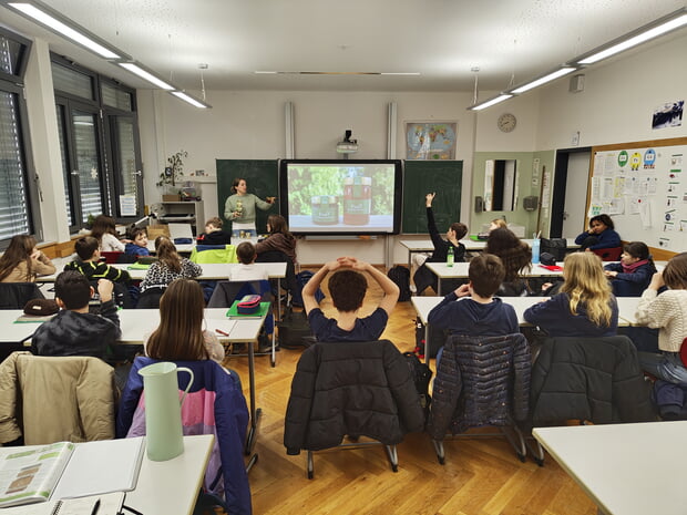 Honigverkostung im Klassenzimmer