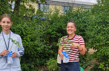 Schülernnen der Fairtrade AG retten Tomatenpflanzen
